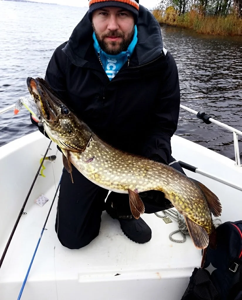 ORKA soft lures for Щука (Esox lucius)